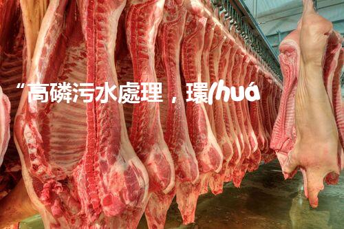 “高磷污水處理，環(huán)保先鋒，守護碧水藍天！”